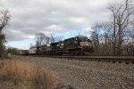 NS 4253
